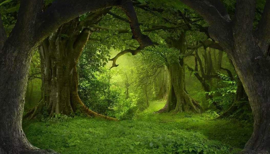 Rare nature